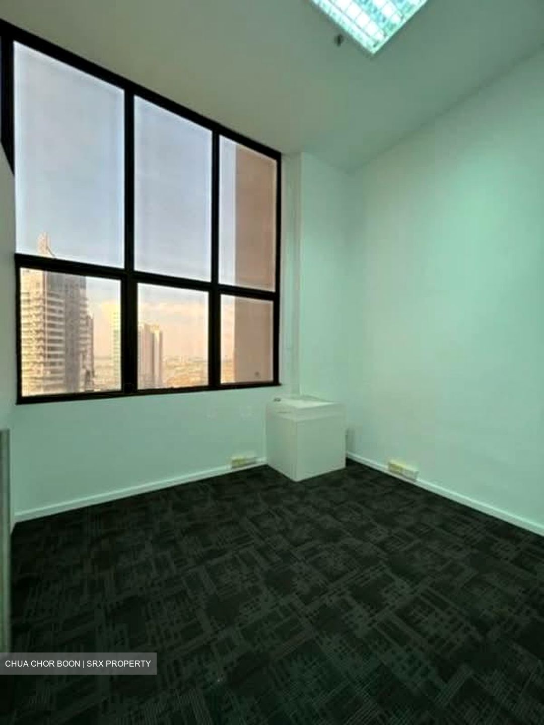 International Plaza (D2), Office #559693811